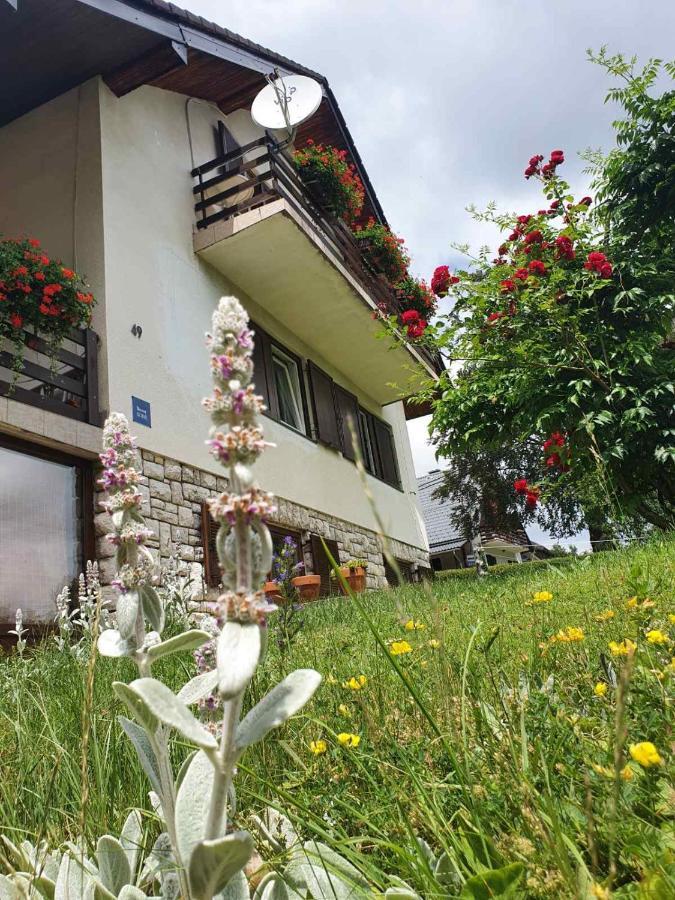 House Draga Plitvice Bed & Breakfast Plitvicka Jezera Exterior photo